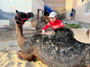 ラクダこよなく愛する毛刈りアーティスト はさみで描くインドの風物:朝日新聞