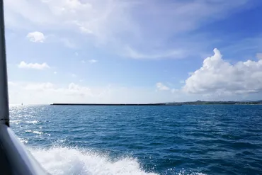 6月に豪華客船で石垣島に来てたタレントは誰?【いしがきクイズ】 : 島宿日和 Stay Slow in Okinawa