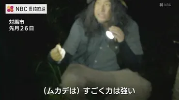 昆虫採集は一番キャッチーな遊び」生物ライターによる昆虫観察会 ...