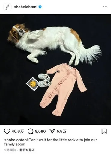 大谷翔平選手、待望の第一子誕生！ パパになる喜びと、出産・育児への準備は？大谷翔平選手、真美子夫人との間に第一子が誕生！