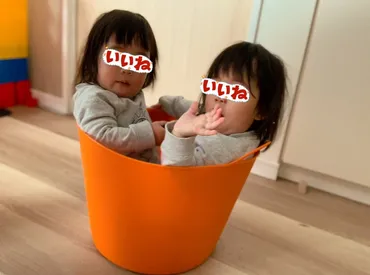 双子ちゃん】小学校のクラス問題 