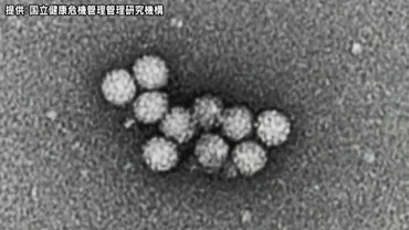 優里、クリスマスイブに食中毒で救急搬送？SNS波紋と教訓(？)優里、牡蠣による食中毒で救急搬送、SNS投稿が物議