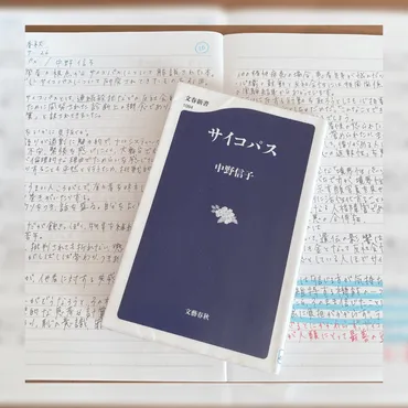 サイコパス/中野信子