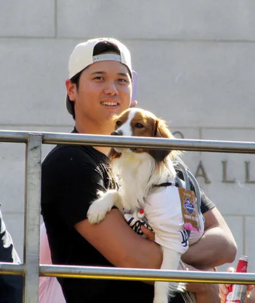 大谷翔平選手、財団設立で子供たちの未来と動物愛護を支援！?大谷翔平ファミリー財団：子どもたちの成長と動物愛護をサポート