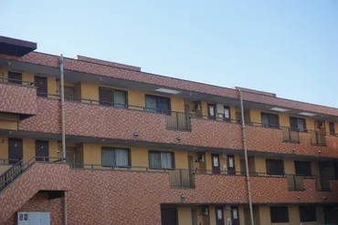 齋藤瞳さんとは？おせっかい不動産「アオバ住宅社」の活動がスゴい！