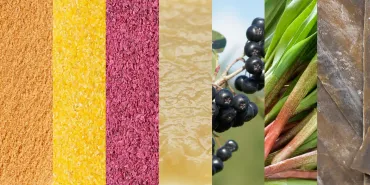 ウワサのお客様「日本一のドレッシングマニア！売り切れ必死の逸品を紹介（MICHIKOさん）」企画で取り上げられました。 