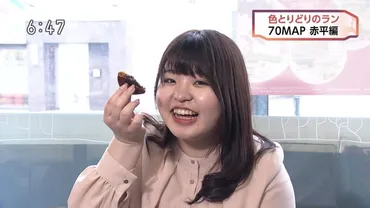 坂井里紗とは何者？wikiプロフ経歴