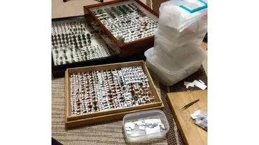 東大大学院卒・昆虫ハンター牧田習さん 「好き」の炎を燃やして「昆虫界のさかなクン」に【後編】 