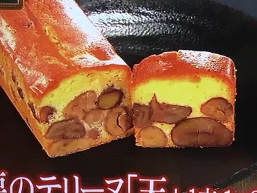 『嵐にしやがれ』 カレー愛とゲストの挑戦！ 企画内容を徹底解説！(？マーク)香川照之のカレー愛、ウィル・スミスも登場！ バラエティ企画の裏側