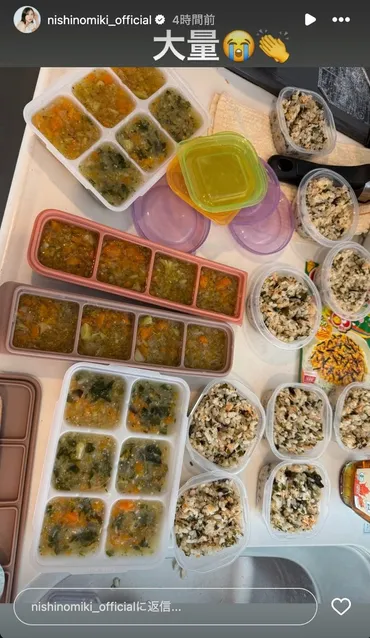 西野未姫、離乳食の大量作り置き公開「すごい量」「尊敬する」と反響続々 