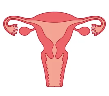 東洋医学から見た゛子宮゛のケア法 – みやび鍼灸院