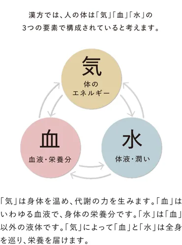 妊活中の方へ。不妊症に向き合う漢方と生活養生