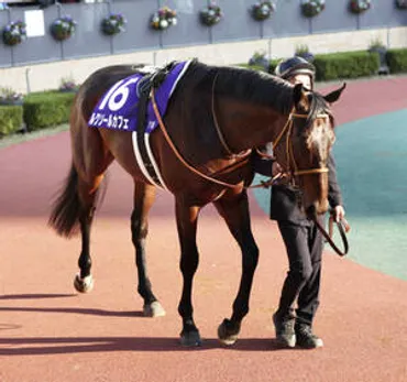 ミシェル騎手がフランスで落馬 鎖骨開放骨折、前頭葉の血腫など重傷 