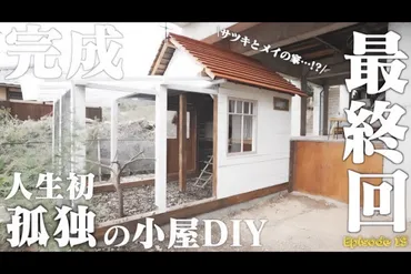 女性1人で前向きに頑張るDIY系YouTuberが人気 古民家をセルフリノベーションする姿に賞賛の声