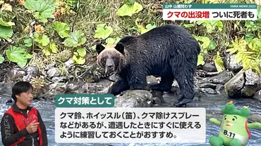 小屋荒らし、猛暑に水不足、クマ騒動・・・2023年の山のニュースを振り返ろう！ 