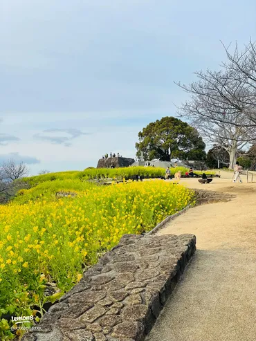 吾妻山公園で楽しむジブリ風絶景と四季の美