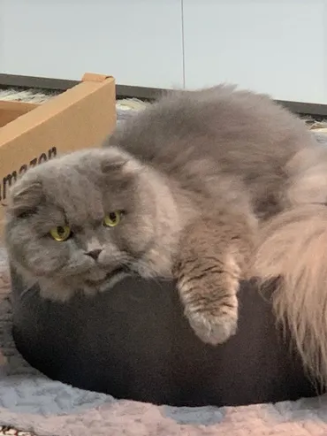 8/2】茨城県守谷市に移住した林マヤさんからメールが届きました。