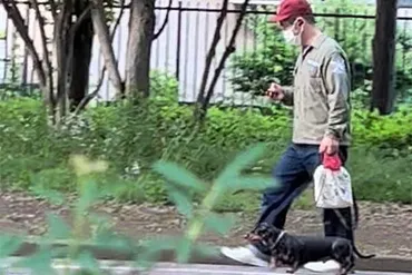 ハライチ澤部「実はめちゃしんどい」゛散歩職人゛のリアル散歩姿目撃（女性自身）