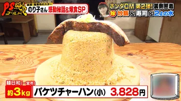 大食いスター・のり子さんの感動秘話＆爆食SP！どローカルチェーン『比呂野』を食べ尽くし『PS純金（ゴールド）』 