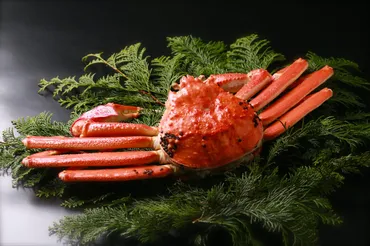 鳥取県】ミシュラン2つ星のお店「かに吉」の料理人、山田達也さんが情熱大陸に！ 