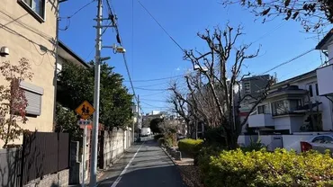 柿の木坂 芸能人豪邸探訪！坂本冬美の10億円豪邸？それとも？(最新情報?）目黒区柿の木坂：芸能人御用達の高級住宅街を巡る