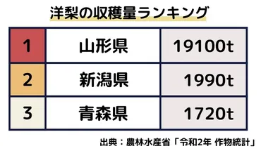 小林瞭、記憶力の怪物！「小5クイズ」での活躍と、その驚異の記憶力とは？小林瞭、驚異の記憶力！「クイズ！あなたは小学5年生より賢いの？」出演