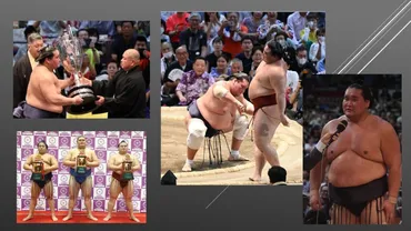 大相撲名古屋場所】横綱 照ノ富士が１０回目の優勝 
