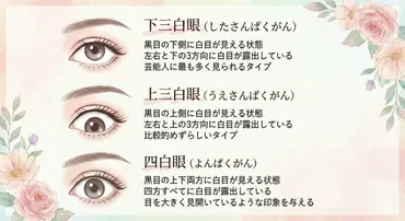三白眼（さんぱくがん）って何？ 魅力とメイク術、芸能人を徹底解説！（三白眼、魅力、メイク術）三白眼の定義と種類、メイク方法、芸能人、美容医療での改善策まで