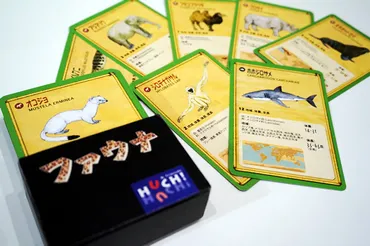 『ファウナ』ってどんなゲーム？動物クイズで世界旅行！(知的好奇心？)動物カードで世界を巡る！『ファウナ』の魅力