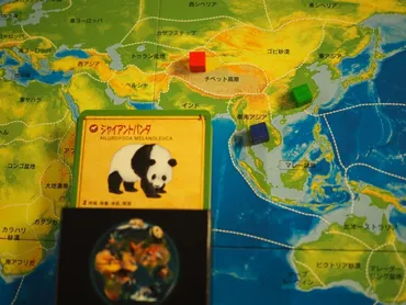 カピバラの尻尾は何センチ?動物クイズがテーマのファミリーボードゲーム「ファウナ(FAUNA)」