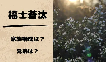 福士蒼汰の家族構成は？兄弟は何人で両親の職業なども徹底調査！ 