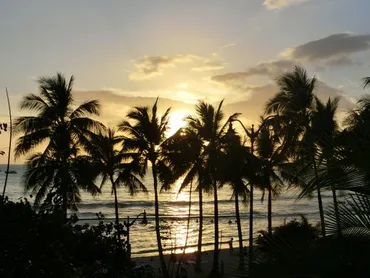 ハワイ島&オアフ島4泊6日初めてづくしの旅【9】』オアフ島(ハワイ)の旅行記・ブログ by nemnemさん【フォートラベル】