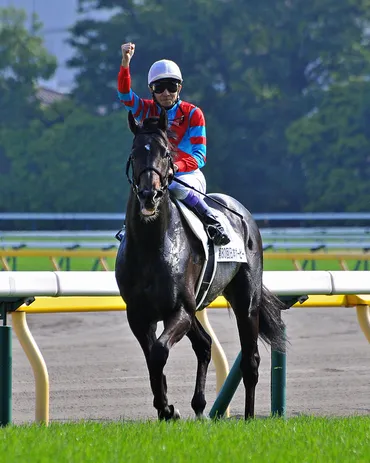 第80回日本ダービー キズナ×武豊 : ＵＭＡＴＯＭＯ