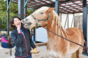 移住決めた運命の手綱 芸能と乗馬二刀流 俳優 佐藤藍子さん（４５）＝香取市在住 【千葉県誕生１５０年 ミライのちば人】 