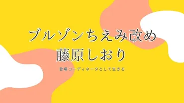 ブルゾンちえみはなぜ芸能界を引退したのか？その真相とは!!?