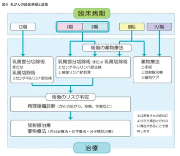 小林麻央さんを救えなかった代替医療は本当に医療なのか？世に悪質なニセ医学が蔓延しています。(院長ブログ) 