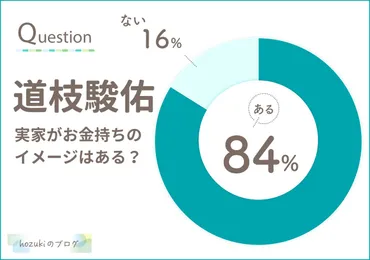 道枝駿佑の実家が金持ちの理由7選！父親は敏腕社長で億万長者？