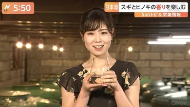 水谷花那子 気象予報士ってどんな人？元宝塚歌劇団出身の姉を持つ3姉妹の末っ子とは！？